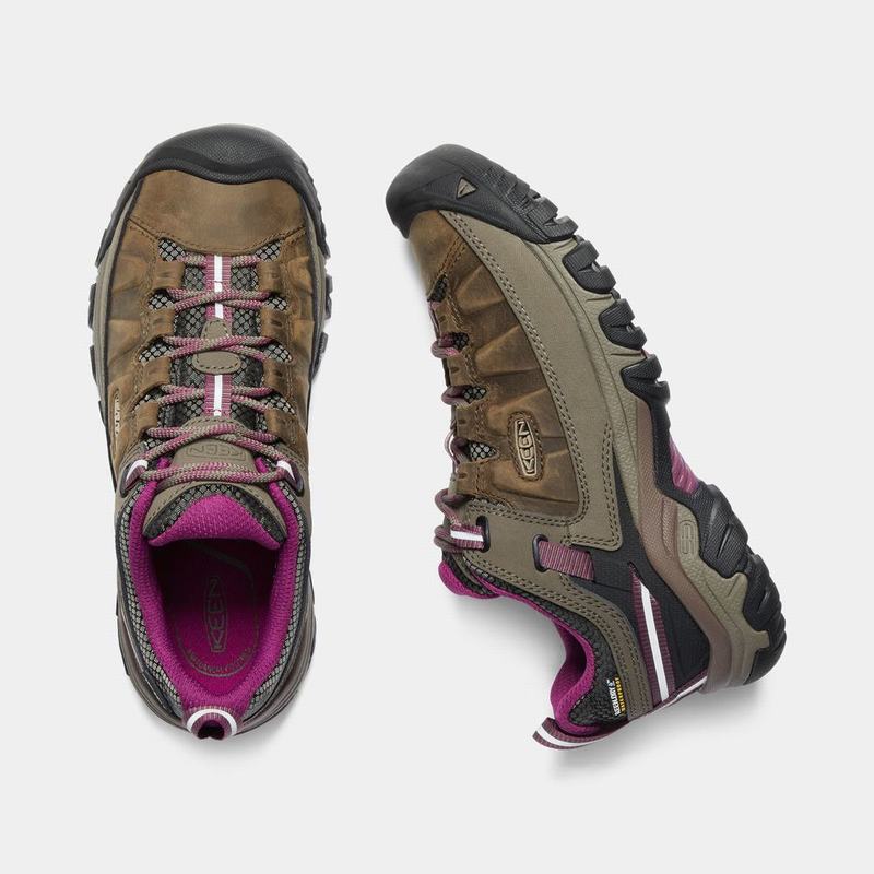 Zapatos Trekking Keen Targhee III Waterproof Para Mujer Marrom - Zapatos Keen Mexico (406523-GZC)